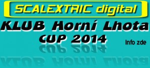 cup2014